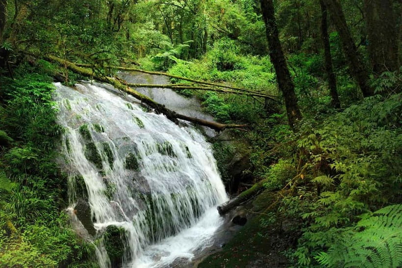 Chiang Mai: Doi Inthanon Trip with Pha Dok Siew Guided Trek - The twin pagodas and their mountain gardens