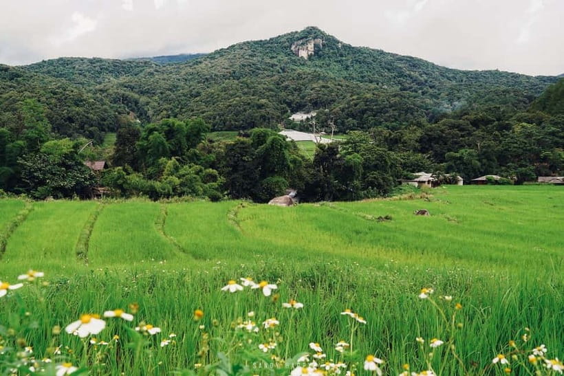 Chiang Mai: Doi Inthanon Trip with Pha Dok Siew Guided Trek - Pha Dok Siew: the day’s best two hours