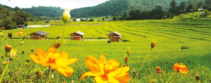 Chiang Mai: Doi Inthanon Trip with Pha Dok Siew Guided Trek - Wachirathan Waterfall closes the nature portion