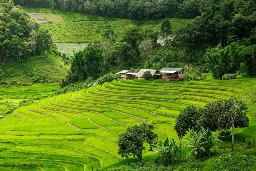 Chiang Mai: Doi Inthanon Trip with Pha Dok Siew Guided Trek - The early van ride from Chiang Mai