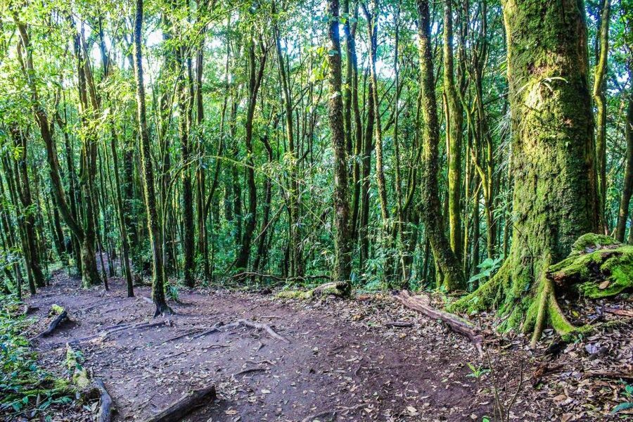 Chiang Mai: Doi Inthanon, Waterfalls, & Tribal Villages Tour - Meeting Karen and Hmong communities