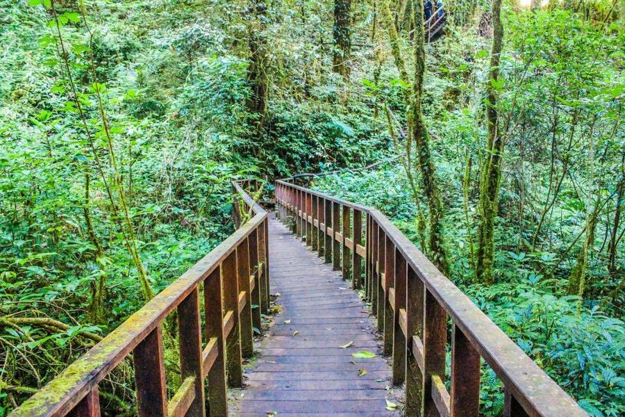 Chiang Mai: Doi Inthanon, Waterfalls, & Tribal Villages Tour - Guides make the difference