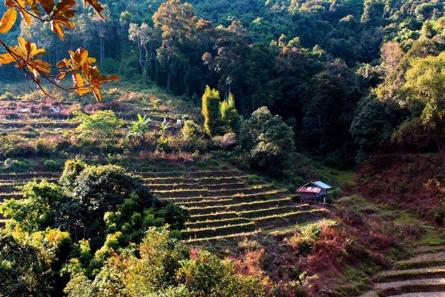 Chiang Mai: Doi Inthanon, Waterfalls, & Tribal Villages Tour - Lunch is practical, not a main attraction