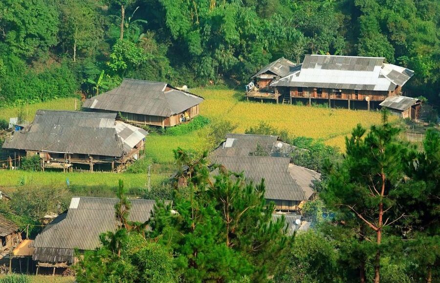 Chiang Mai: Doi Suthep and Hmong Village Half-Day Tour - Morning pickup from Chiang Mai