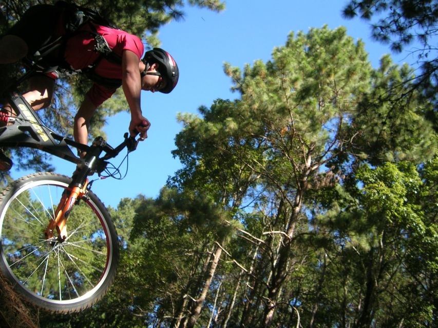 Chiang Mai: Doi Suthep National Park Leisure Hiking & Biking - Who should book this Doi Suthep outing
