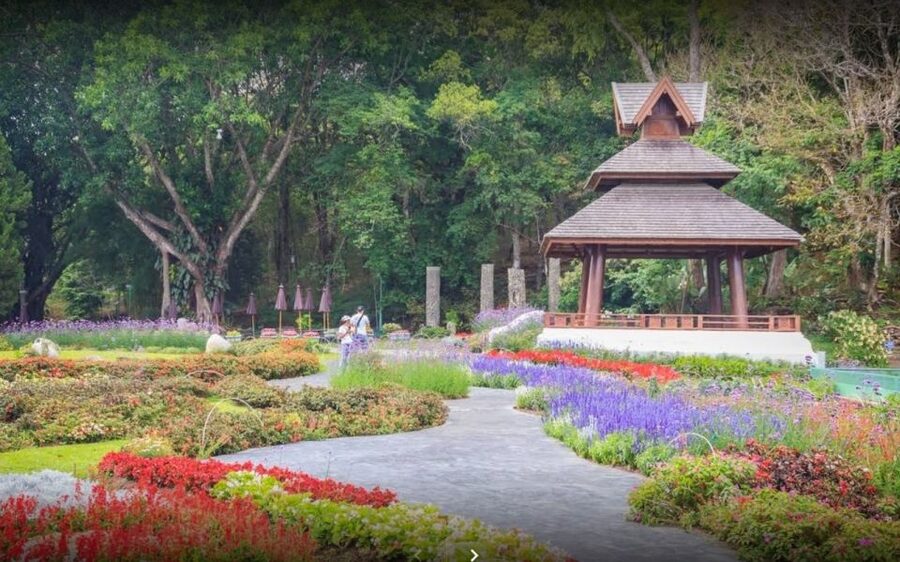 Chiang Mai: Doi Suthep National Park Leisure Hiking & Biking - What the $60 price really covers