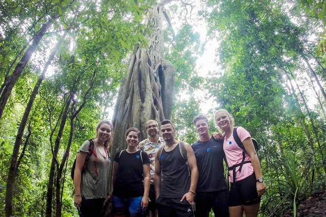 Chiang Mai: Doi Suthep Summit Trek – 7 Hour Pure Hiking Adventure - A Full Day on Doi Suthep, Not a Temple Transfer
