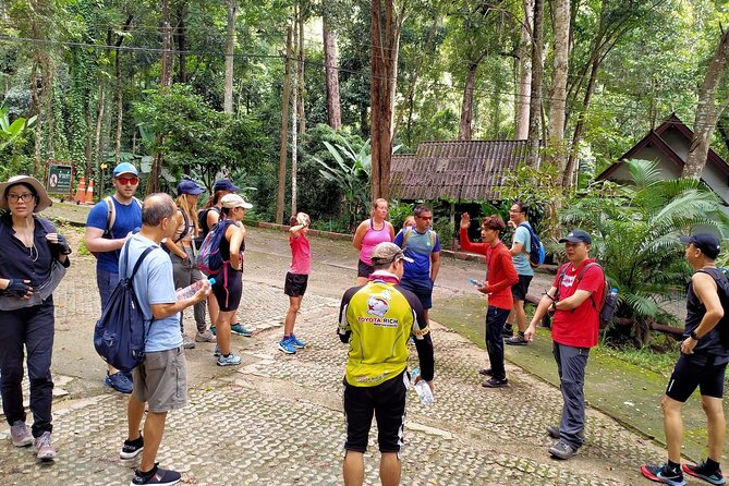 Chiang Mai: Doi Suthep Summit Trek – 7 Hour Pure Hiking Adventure - The Monk’s Trail Starts Quietly