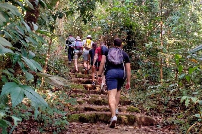 Chiang Mai: Doi Suthep Summit Trek – 7 Hour Pure Hiking Adventure - The Upper Trail Tests Your Legs