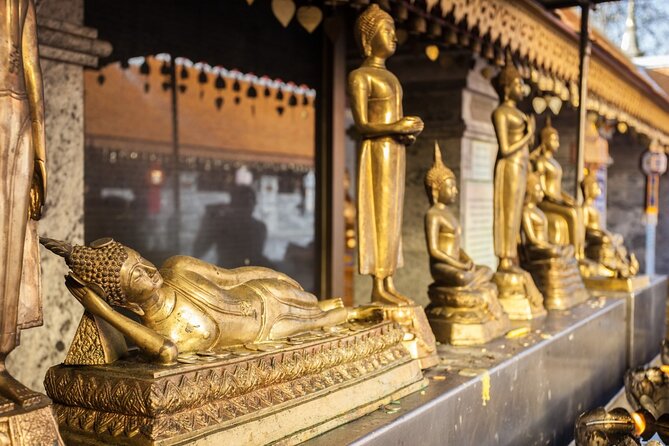 Chiang Mai - Doi Suthep Temple & Wat Pha Lat Hike - Transport, pickup, and group size