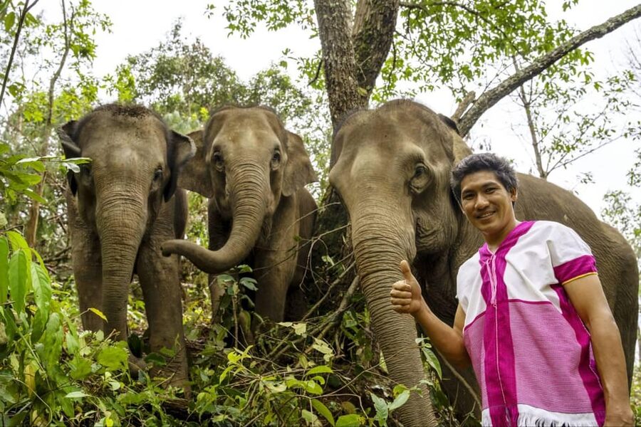 Chiang Mai: Elephant Dream Project Sanctuary - Half-Day - What to bring and who should skip it
