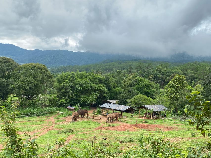 Chiang Mai: Elephant Dream Project Sanctuary - Half-Day - The morning pickup and mountain road