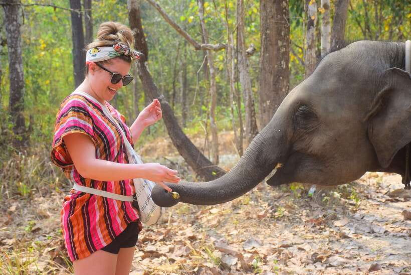 Chiang Mai: Elephant Feeding Experience - Preparing food at Elephant Retirement Park
