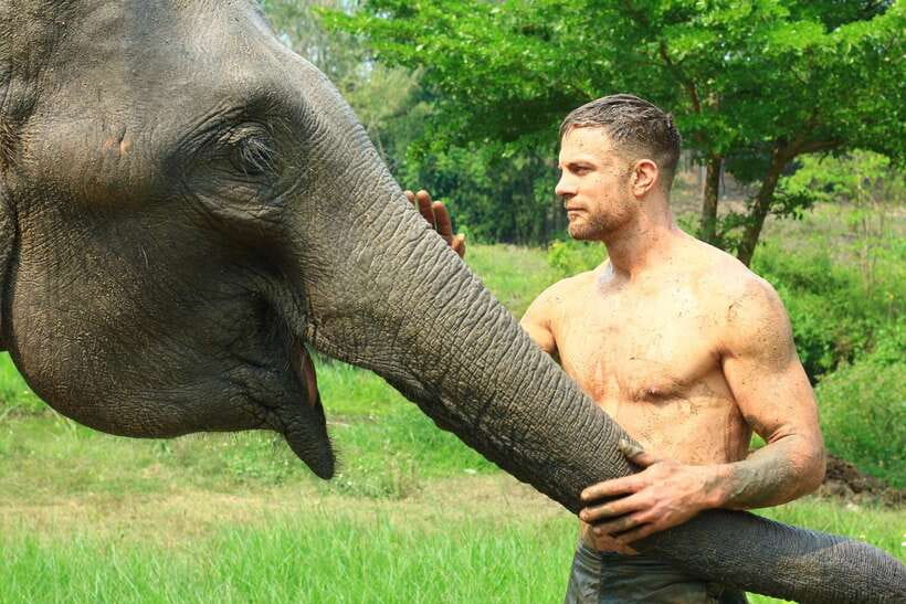 Chiang Mai: Elephant Feeding Experience - Thirty minutes of feeding and photographs