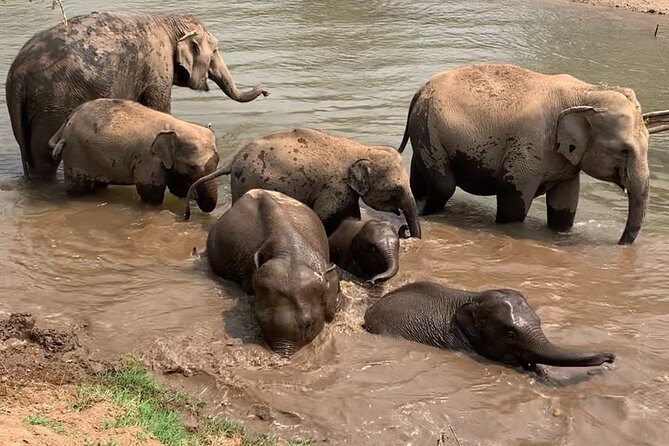 Chiang Mai Elephant Sanctuary, Bamboo Rafting and Waterfall Tour - Bamboo rafting: a calm 40-minute finish