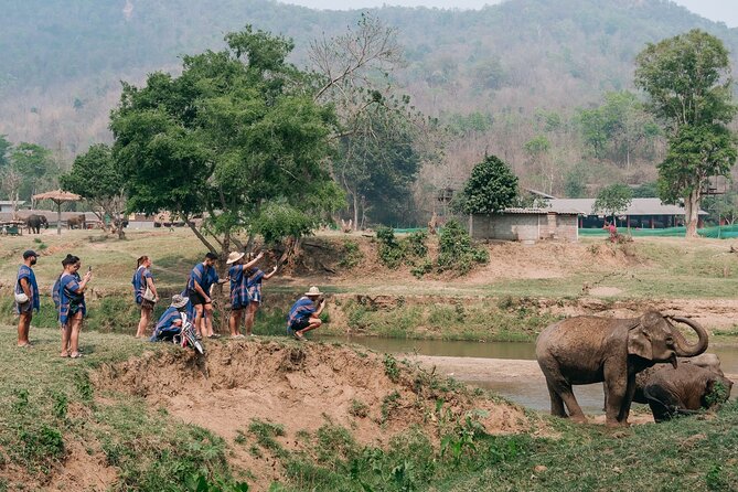 Chiang Mai Elephant Sanctuary, Bamboo Rafting and Waterfall Tour - Should you book the Chiang Mai Elephant Sanctuary, Bamboo Rafting and Waterfall Tour?