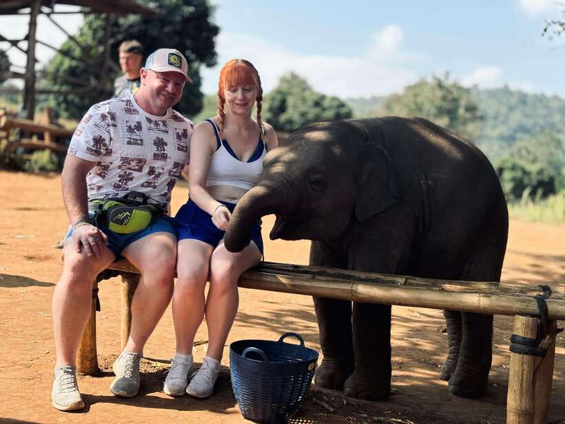 Chiang Mai: Elephant Sanctuary Feeding Program Half-Day Tour - Key points to know before you book