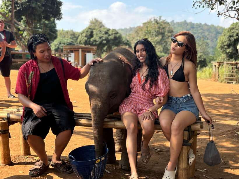 Chiang Mai: Elephant Sanctuary Feeding Program Half-Day Tour - A walk through the forest to the elephants