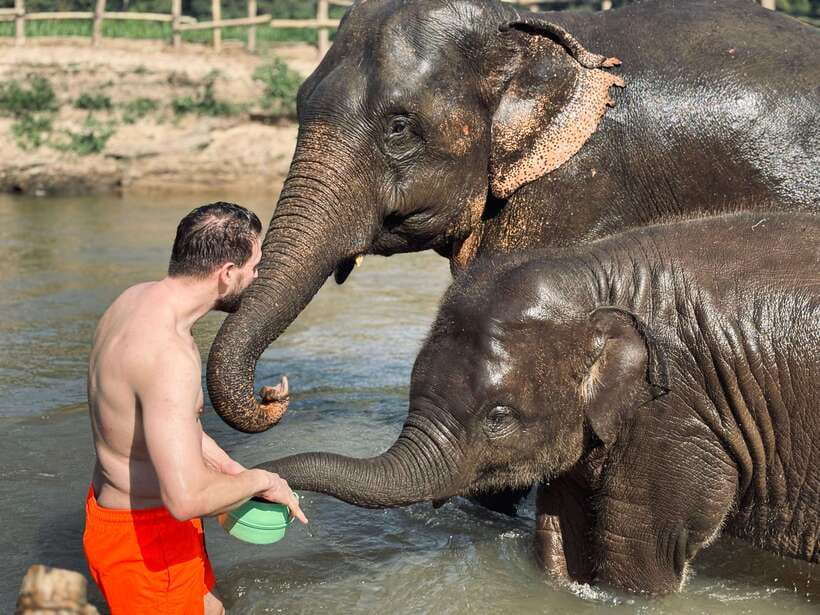 Chiang Mai: Elephant Sanctuary Feeding Program Half-Day Tour - The river stop, and why you may get soaked