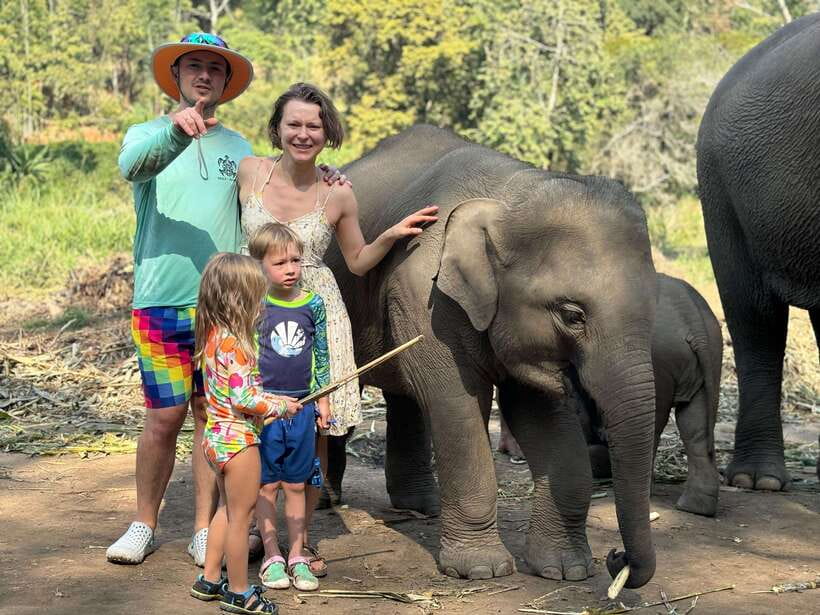Chiang Mai: Elephant Sanctuary Feeding Program Half-Day Tour - Who will enjoy this half-day visit