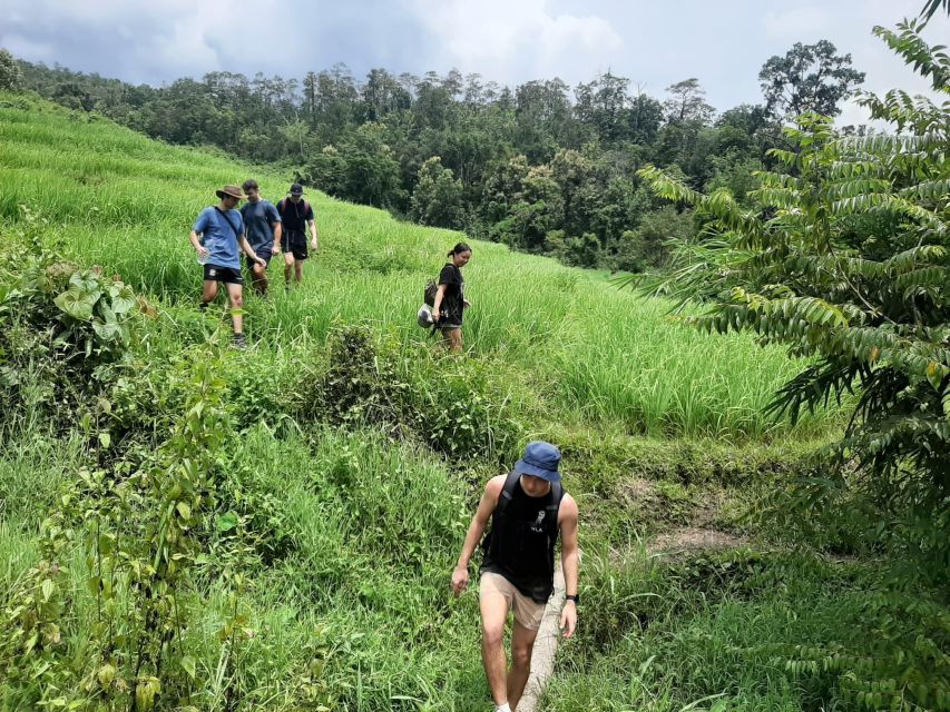 Chiang Mai: Elephant Sanctuary & Jungle Trek w/ Waterfall - Feeding and bathing the rescued elephants