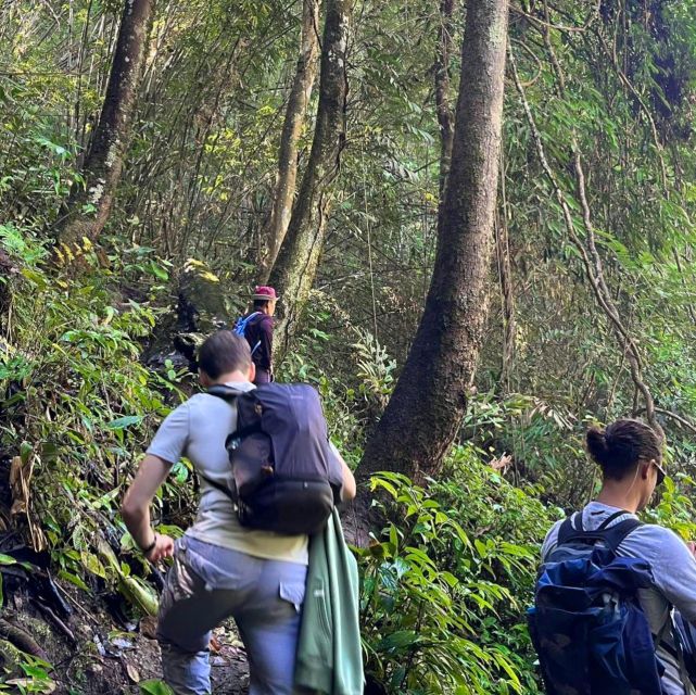 Chiang Mai: Elephant Sanctuary & Jungle Trek w/ Waterfall - Transport, timing, and group size
