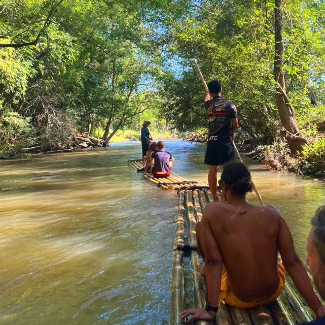 Chiang Mai: Elephant Sanctuary & Jungle Trek w/ Waterfall - What the $61 price includes