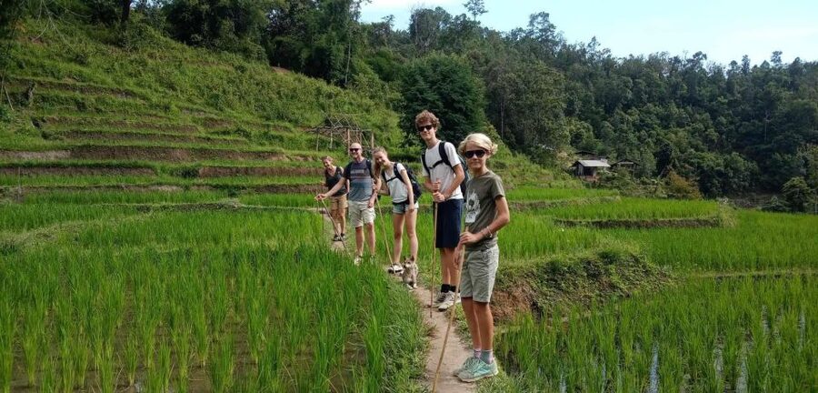 Chiang Mai: Elephant Sanctuary & Jungle Trek w/ Waterfall - Who should book this experience