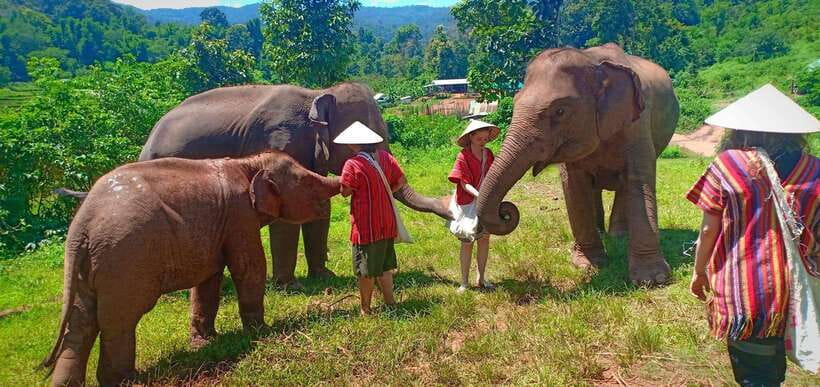 Chiang Mai: Elephant Sanctuary Local Hill Tribe Caretakers - A Thai lunch in peaceful surroundings