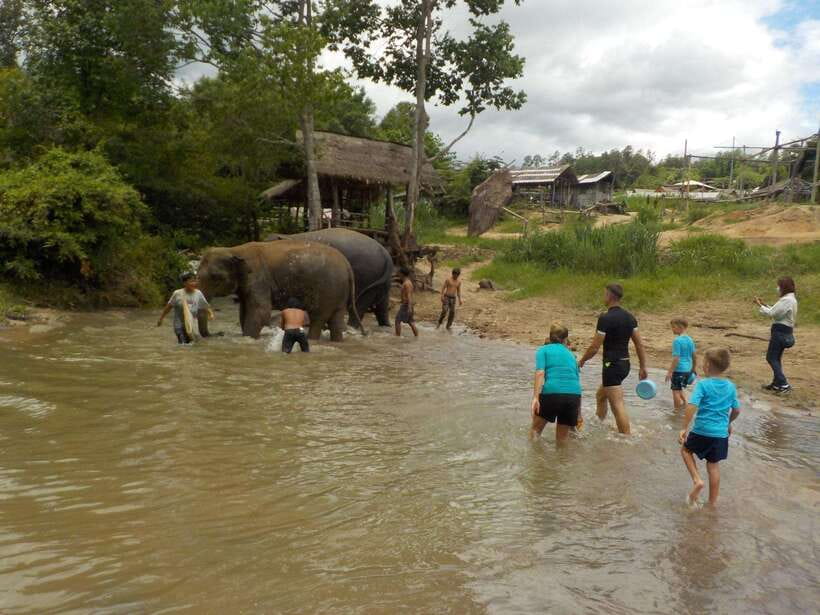 Chiang Mai: Elephant Sanctuary Local Hill Tribe Caretakers - One hour through the forest to Mae Wang Waterfall