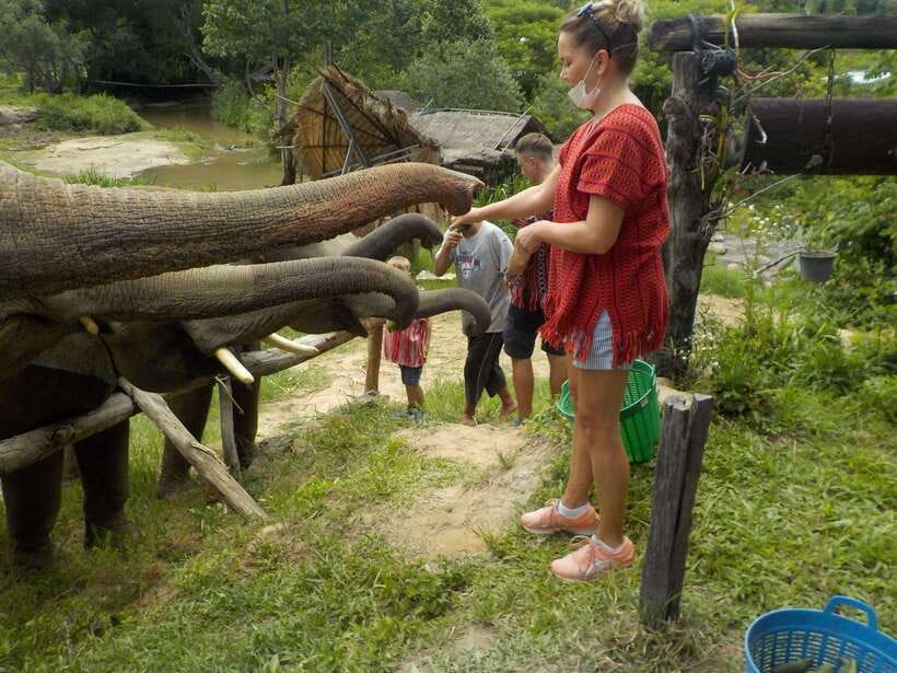 Chiang Mai: Elephant Sanctuary Local Hill Tribe Caretakers - Is $51 a fair price?