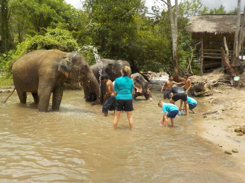 Chiang Mai: Elephant Sanctuary Local Hill Tribe Caretakers - Who should choose this outing?