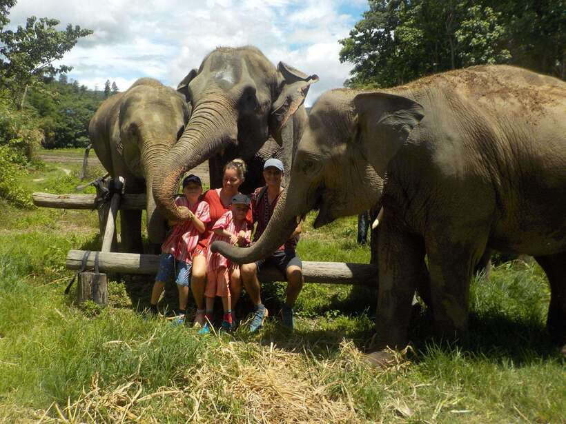 Chiang Mai: Elephant Sanctuary Local Hill Tribe Caretakers - Meeting the elephants at Johnny Boy Elephant Care