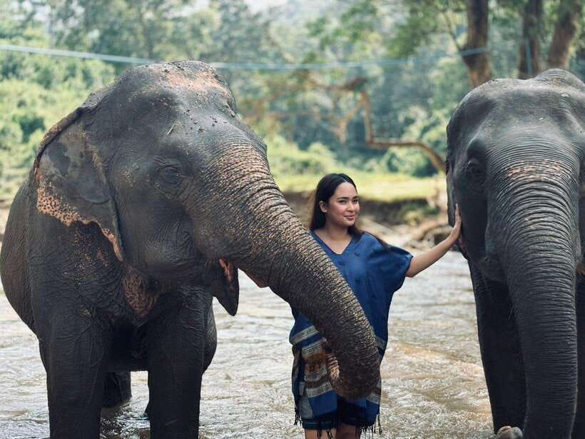 Chiang Mai: Elephant Sanctuary, Long Neck & Sticky Waterfall - A full day from Chiang Mai