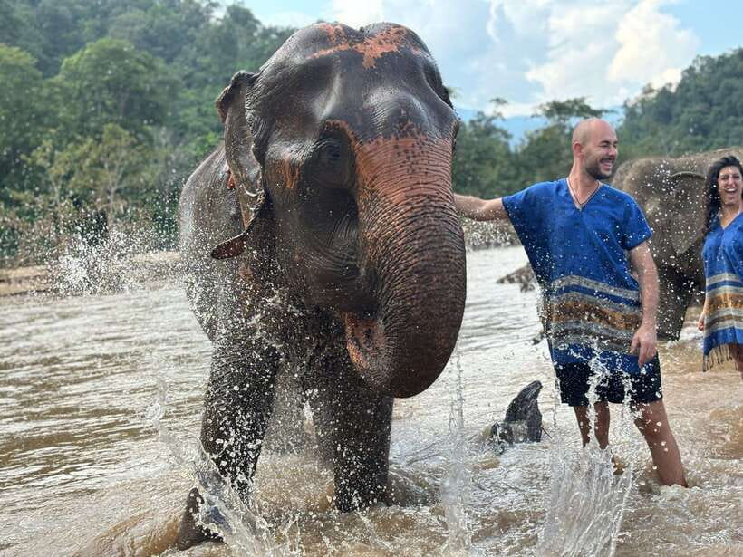 Chiang Mai: Elephant Sanctuary, Long Neck & Sticky Waterfall - Guides make the difference