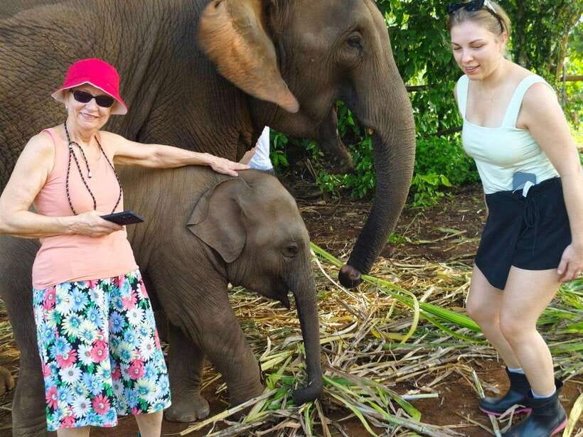 Chiang Mai: Elephant Sanctuary, Monk Trail & Doi Suthep Tour - Key points at a glance