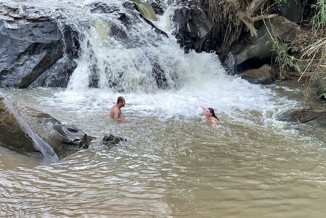 Chiang Mai Elephant Sanctuary Observation and Bamboo Rafting - The drive from Chiang Mai to Thung Luang