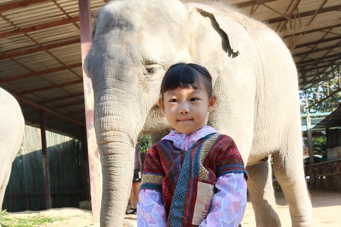 Chiang Mai Elephant Sanctuary Small Group Ethical Tour - Meeting rescued elephants outside Chiang Mai