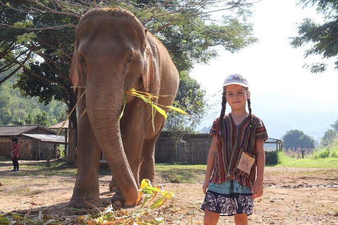 Chiang Mai Elephant Sanctuary Small Group Ethical Tour - Group size, guides, and the pace of the day