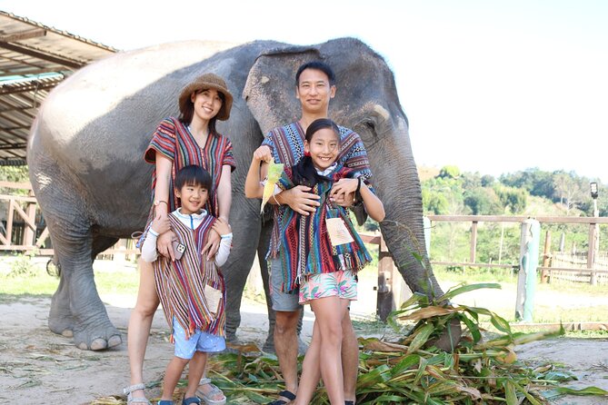 Chiang Mai Elephant Sanctuary Small Group Ethical Tour - Is $90 a fair price?