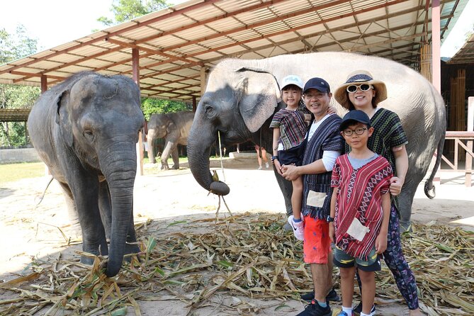Chiang Mai Elephant Sanctuary Small Group Ethical Tour - Morning or afternoon: which departure works best?