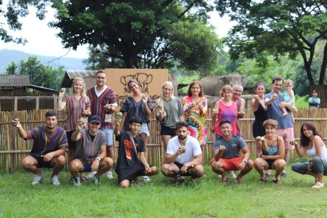 Chiang Mai Elephant Sanctuary Small Group Ethical Tour - Who should book this elephant tour?