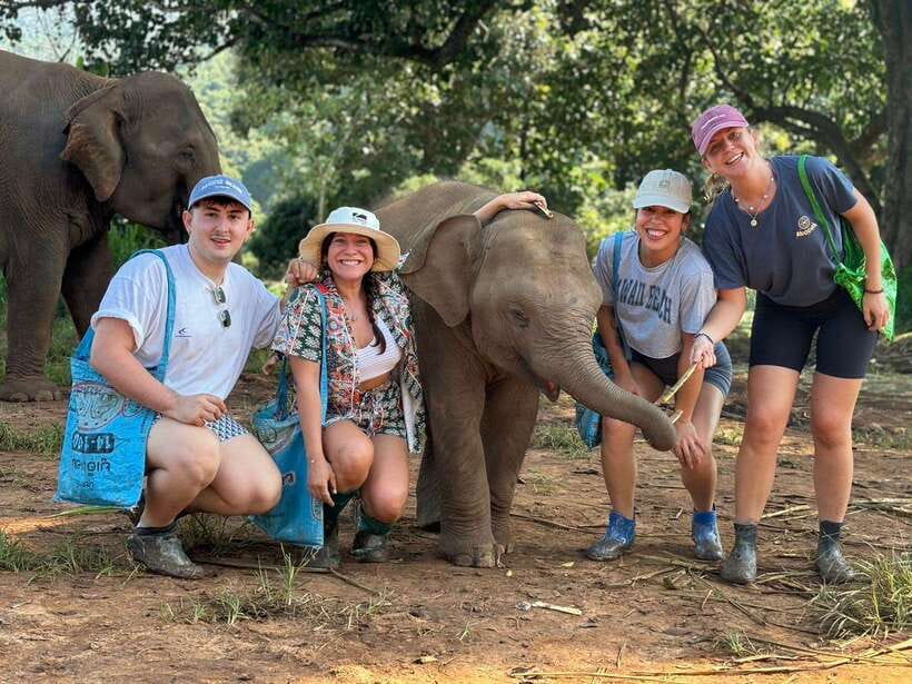 Chiang Mai: Elephant Sanctuary, Waterfall & Bamboo Rafting - From Chiang Mai to the Mae Wang foothills