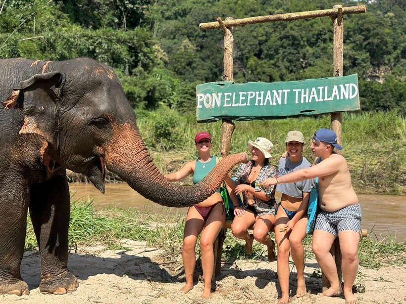 Chiang Mai: Elephant Sanctuary, Waterfall & Bamboo Rafting - Meeting the rescued elephants at Pon Elephant Thailand