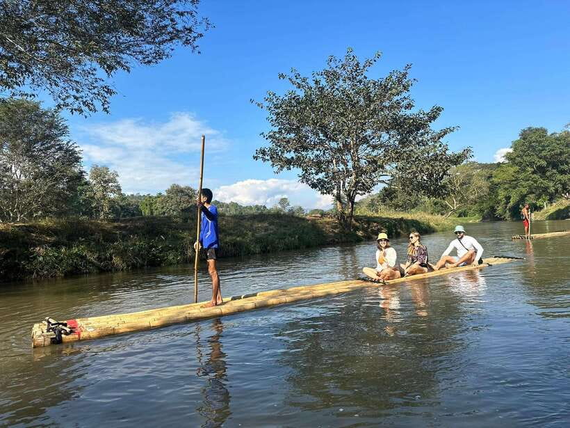 Chiang Mai: Elephant Sanctuary, Waterfall & Bamboo Rafting - Walking through the forest with elephants