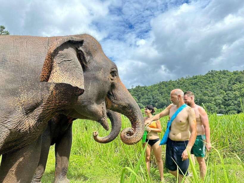 Chiang Mai: Elephant Sanctuary, Waterfall & Bamboo Rafting - Bathing in the Mae Wang River