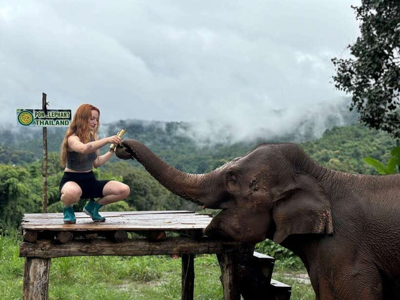 Chiang Mai: Elephant Sanctuary, Waterfall & Bamboo Rafting - Is $60 good value for nine hours?