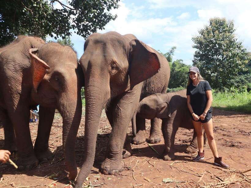 Chiang Mai: Elephant Sanctuary & Waterfall Group Tour - Key points at a glance