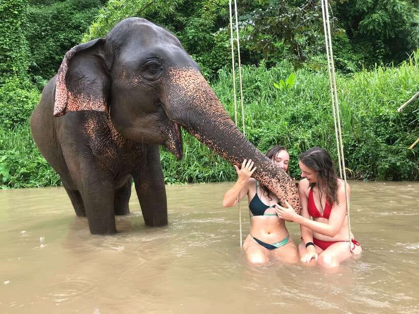 Chiang Mai: Elephant Sanctuary & Waterfall Group Tour - What the ethical claim means in practice