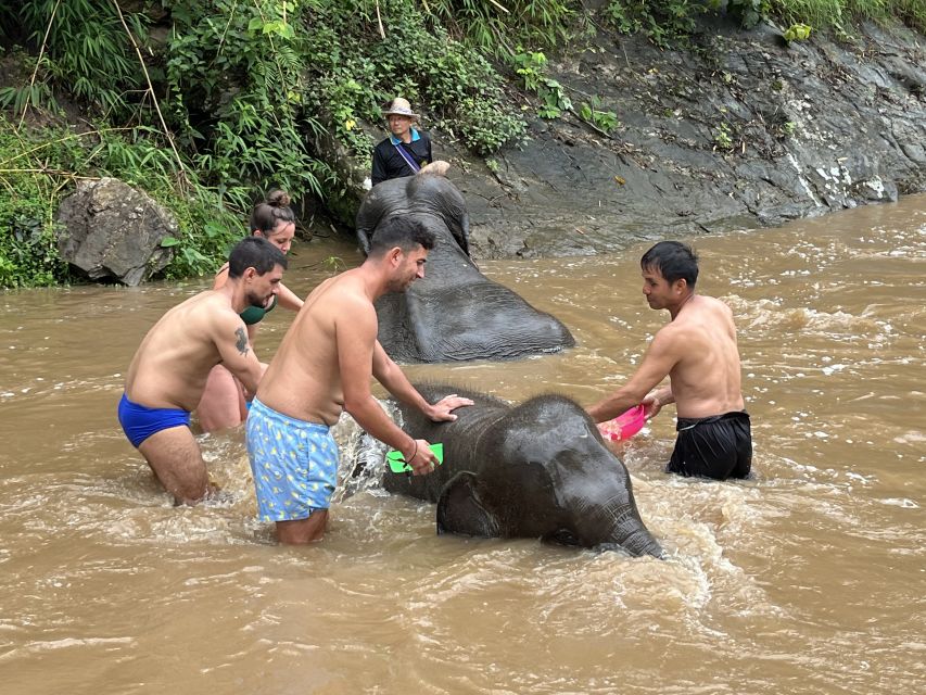 Chiang Mai: Elephant Sanctuary & Waterfall Group Tour - River time with the elephants
